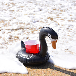 a black duck in the sand